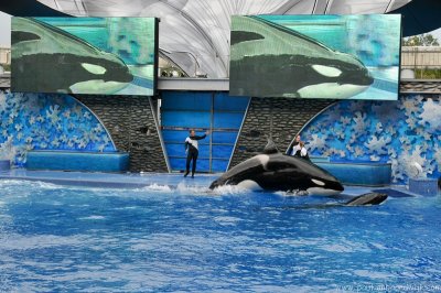 VS08 (095) Seaworld