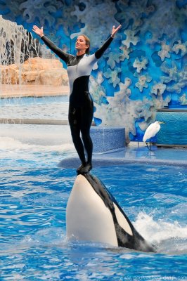 VS08 (096) Seaworld