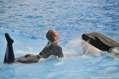 VS08 (097) Seaworld
