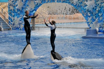 VS08 (107) Seaworld