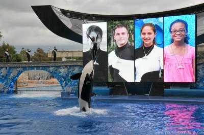 VS08 (108) Seaworld