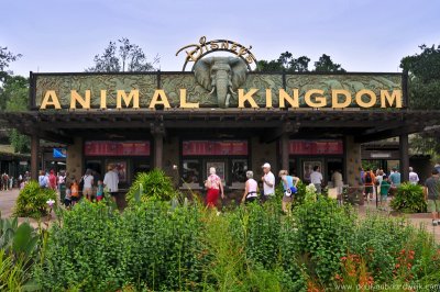 VS08 (110) Animal Kingdom
