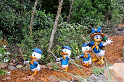 VS08 (114) Animal Kingdom
