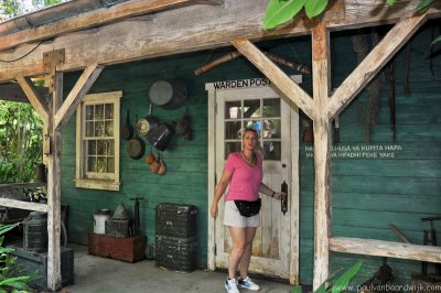 VS08 (117) Animal Kingdom