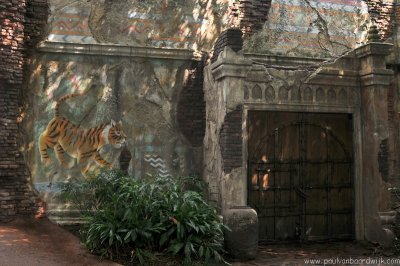 VS08 (150) Animal Kingdom