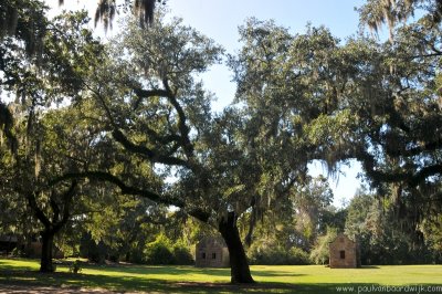 VS08 (219) Charleston, SC