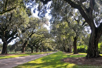 VS08 (221) Charleston, SC