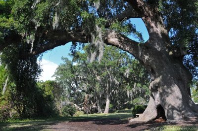 VS08 (225) Charleston, SC