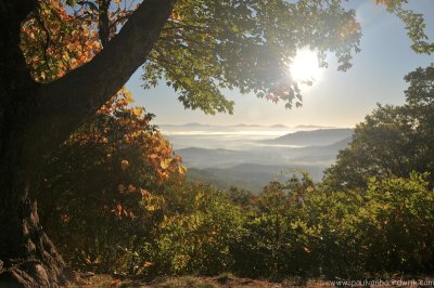 VS08 (243) Great Smoky Mountains NP
