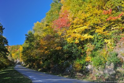 VS08 (246) Great Smoky Mountains NP