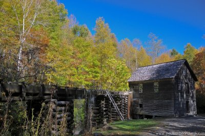 VS08 (263) Great Smoky Mountains NP