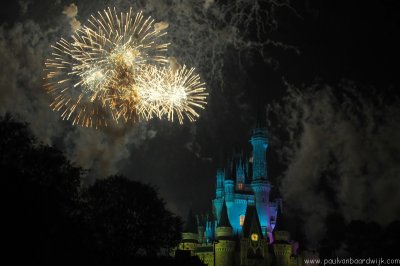 VS08 (469) Magic Kingdom