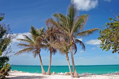 VS08 (496) Key West, FL