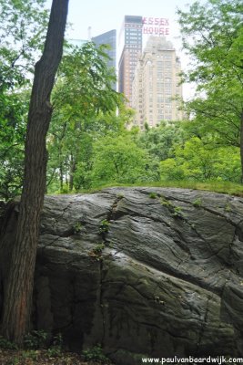 New York City (134) Central Park