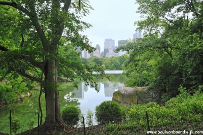 New York City (139) Central Park