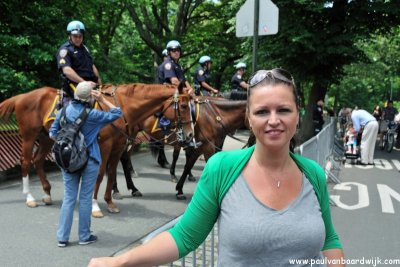 New York City (145) Policehorses