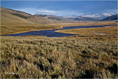  West end of the (Lamar Valley)