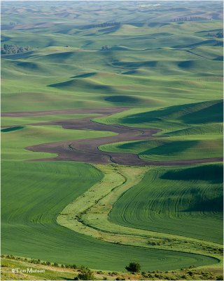  Palouse wheat fields