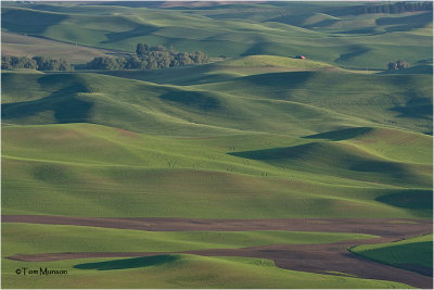  Palouse wheat fields