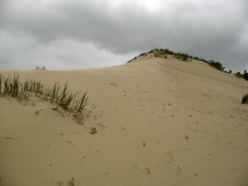 Looking up the sloping dune
