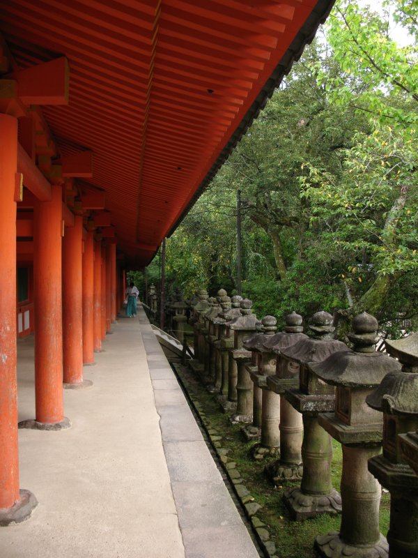 Line of stone lanterns outside Kasuga Taisha