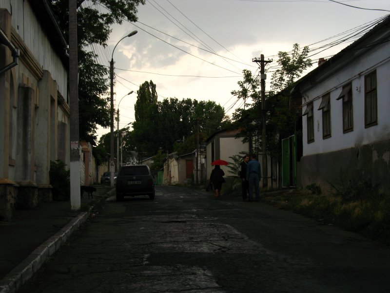 Gloomy light over a residential street
