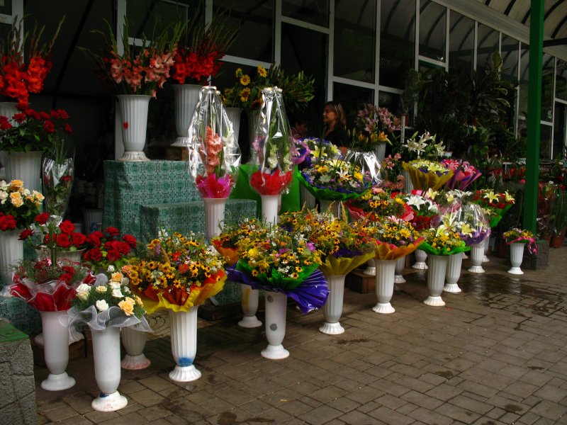 Flower Market off Parcul Catedralei