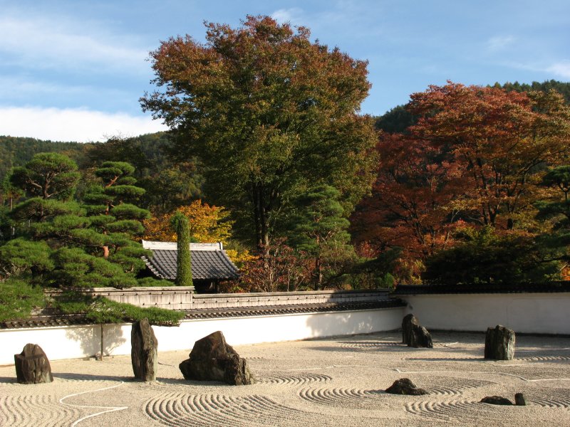 Looking over the stone garden