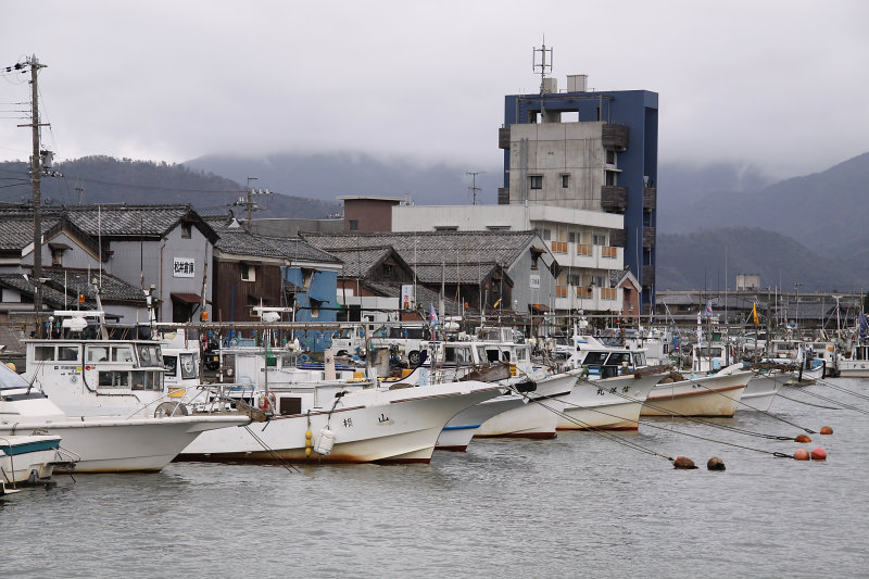 Squid boats along the harbor