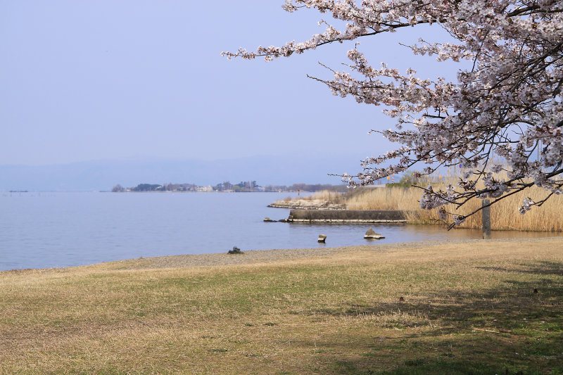 The still edge of Lake Biwa