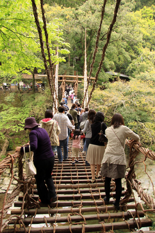 Crossing the kazura-bashi