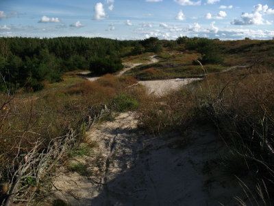 The first traces of the sandy beach