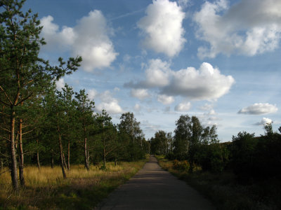 Bicycle and walking path along the spit