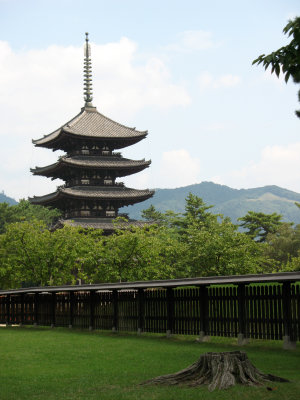 Stretch of grass with distant Kōfuku-ji pavilion