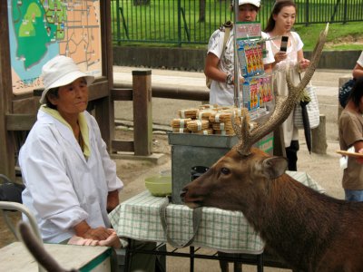 Shika sembei vendor and stag