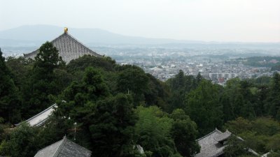 Skyline of Nara with Daibutsu-den