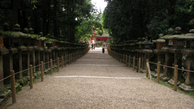 Lantern-lined path leading to the shrine