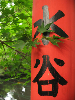 Japanese maple leaves against a vermilion pillar