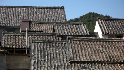 Overlapping rooftops in Ishin-chō