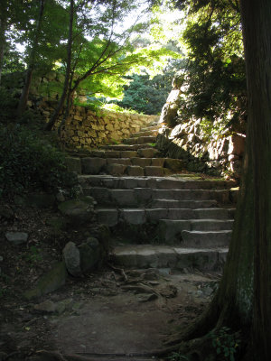Steps to the former donjon site