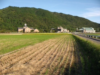 Fields stretching towards the Azuchi museum area