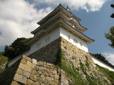 Below the Hitsujisaru-yagura