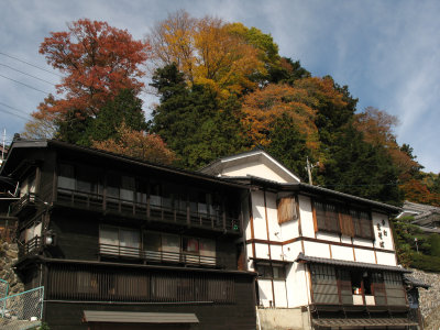 Houses and foliage overlooking the station