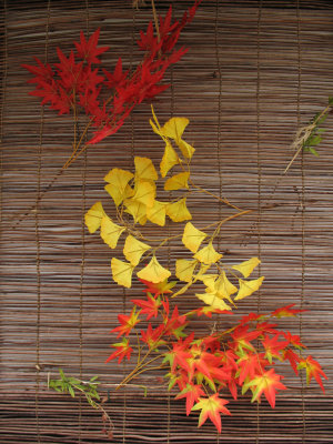 Festive autumn colors