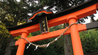 Vermilion torii at the entrance to Shizume-jinja