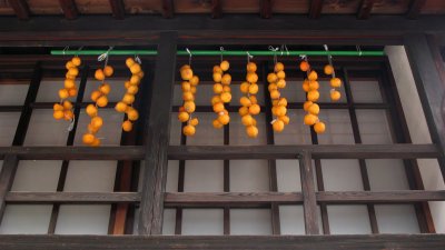 Persimmon hung beneath the eaves