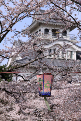 Glimpse of Nagahama-jō from Hō-kōen