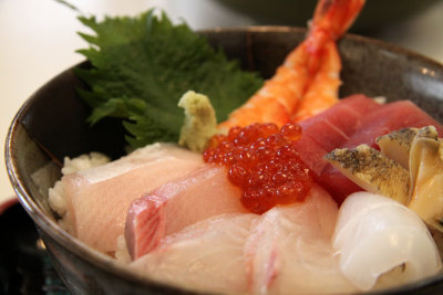 Kaisen-donburi (sashimi rice bowl)