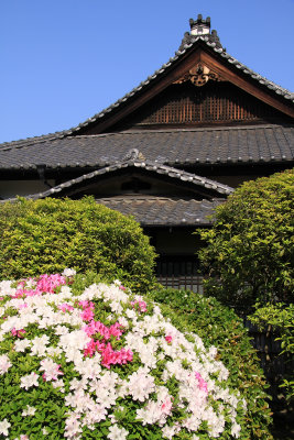 Azaleas and roofline of Hiun-kaku, Tamamo-kōen