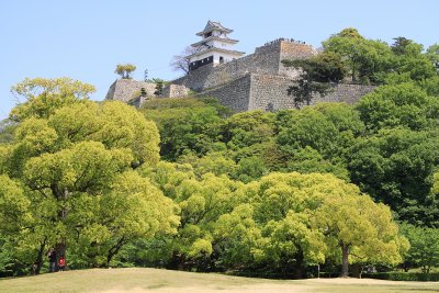 Looking up to the castle from Kameyama-kōen